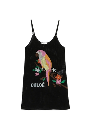 Chloé embroidered mesh-knit mini dress - Black