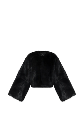 Dolce & Gabbana lamb-fur cropped coat - Black