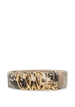 Chloé logo-buckle snake-effect belt - Neutrals